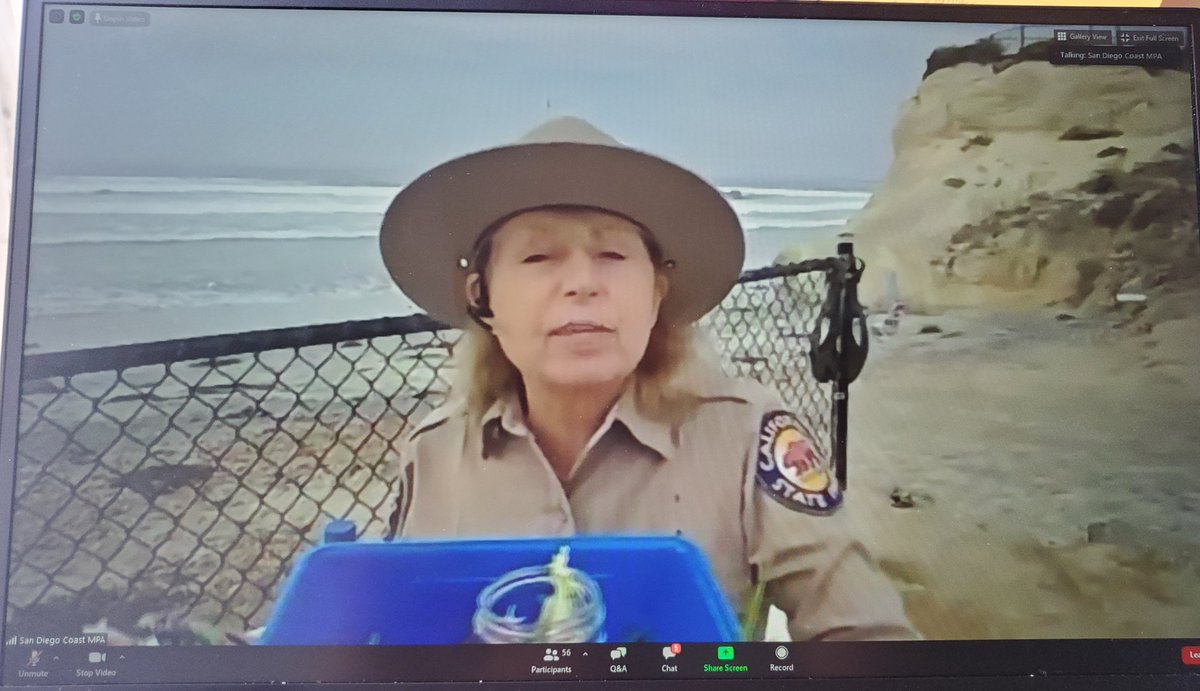 Thank you @portsprogram for hosting @BosLangAcademy middle school students on such amazing virtual field trip to San Elijo State Beach! Extra special shout out to Park Ranger Sandy for spending the day with us! #castateparks #PORTSfan #loslobospertenecenaqui @juliacruzf