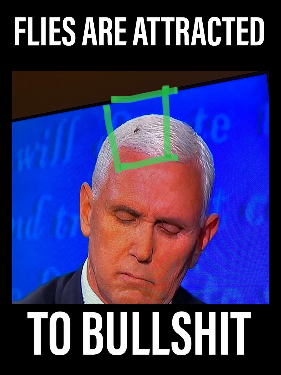 geeknum88's tweet image. #VicePresidentialDebate