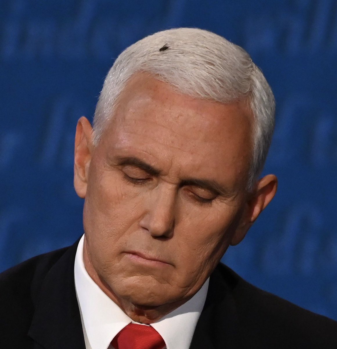 Two4Charge's tweet image. Pence’s only black friend.