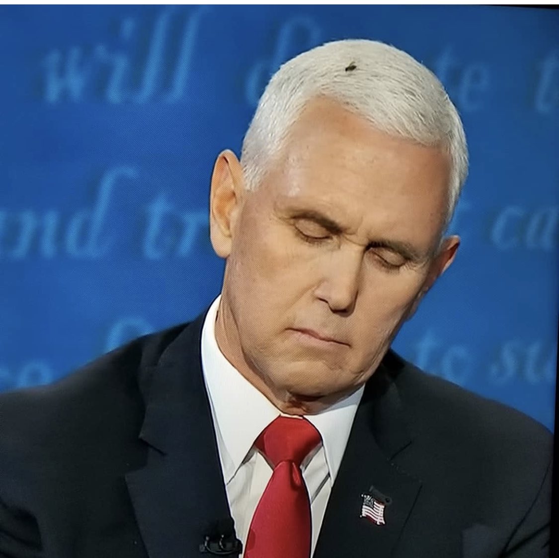 mark_mcgrath's tweet image. “I just wanna ...”  (sorry, had to)