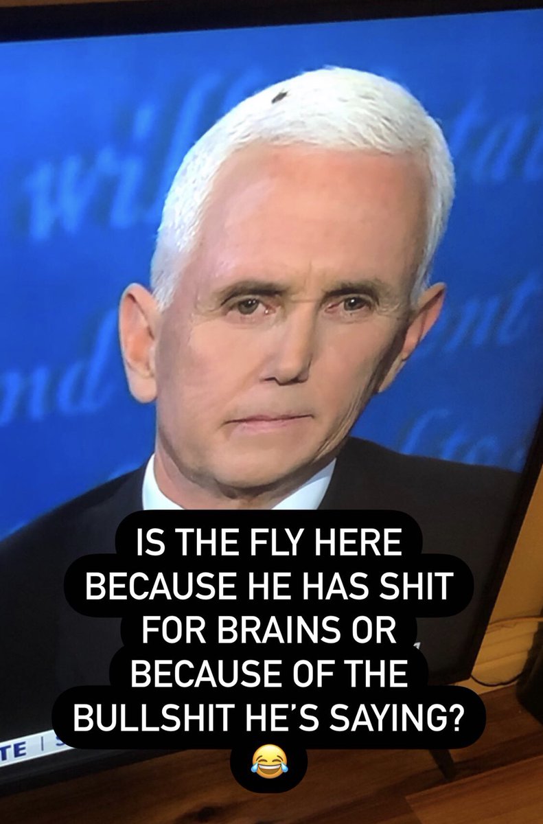 😂😂😂 #VicePresidentialDebate2020