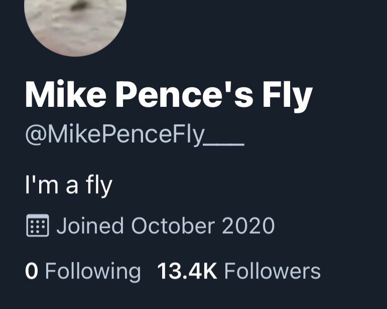 TesLatino's tweet image. Are you kidding me? The fly already has over 13k followers? It hasn’t even been an hour.