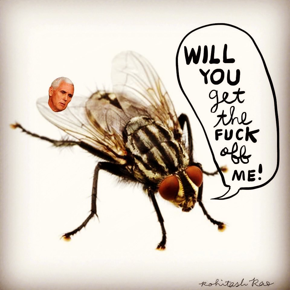 notnowro's tweet photo. Yep. #pence #shutupmike https://t.co/ofKU5BSC0y