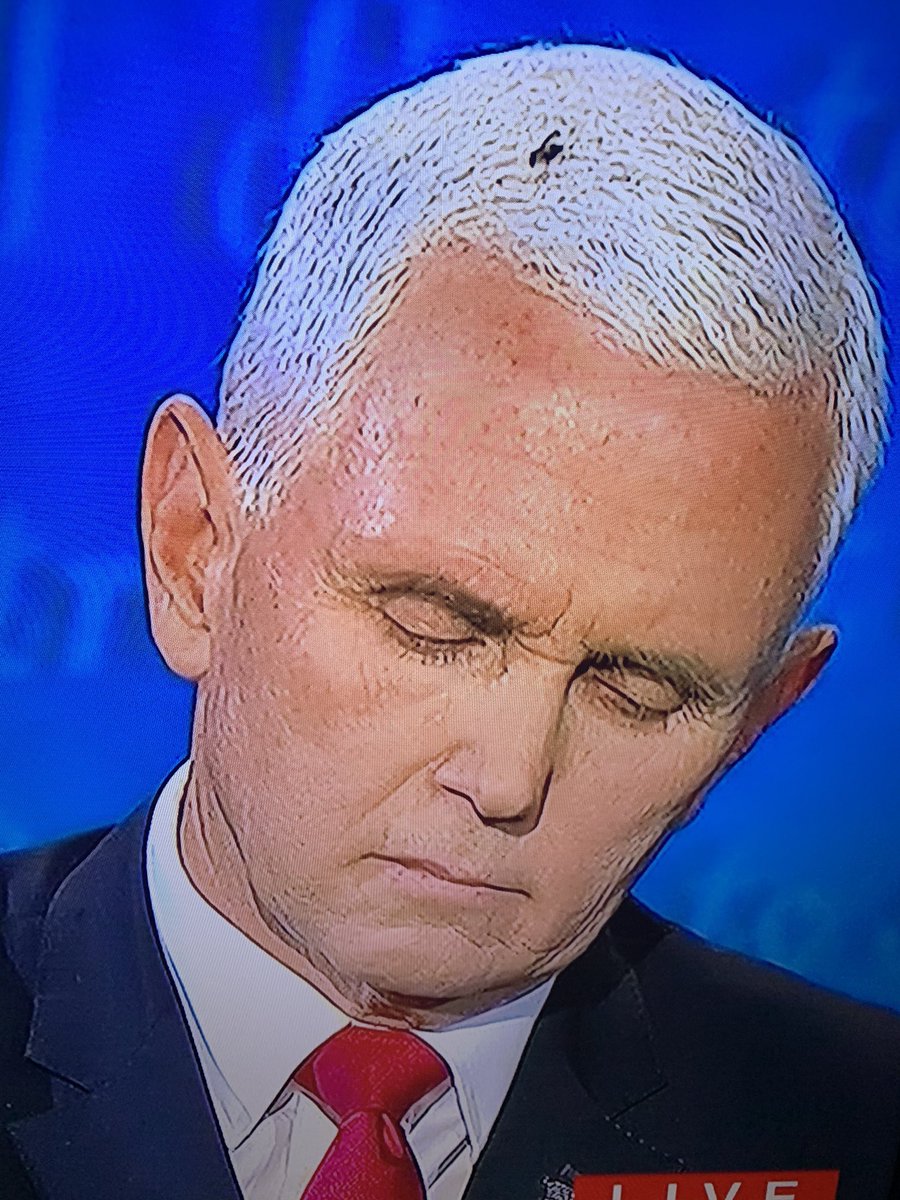 If you missed the #VPDebate, <a href="/KamalaHarris/">Kamala Harris</a> destroyed <a href="/Mike_Pence/">Mike Pence</a>, who LIED repeatedly and refused to answer questions about his FAILED response to the #coronavirus crisis or ANY other issue. Even the fly knew he was full of BS.

#KamalaWon #KamalaHarris #BidenHarris2020 #VPDebate