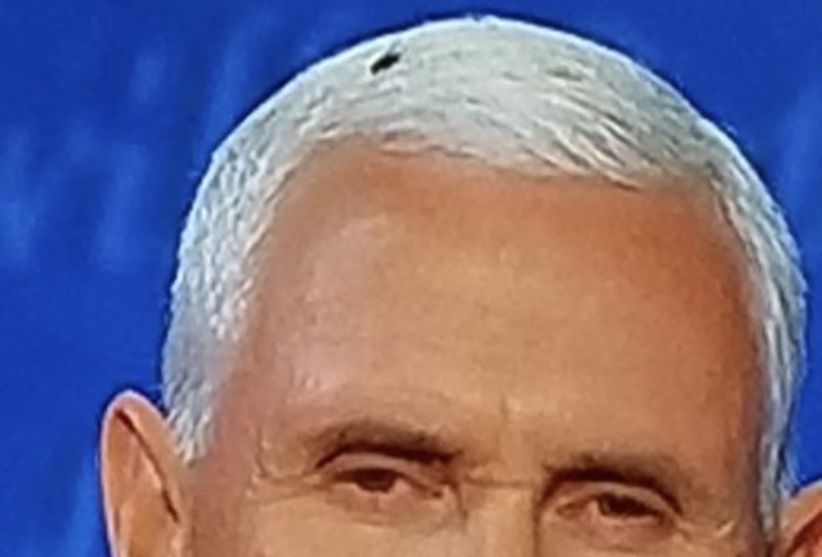 Flys knows shit when they see it!! #VTMFO #VOTEVOTEVOTE