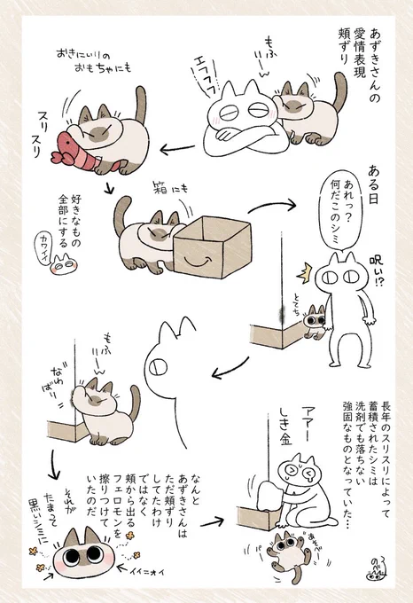 もふジミ(再)ちなみにクレンジングオイルで落とせるよ #シャム猫あずきさんは世界の中心 