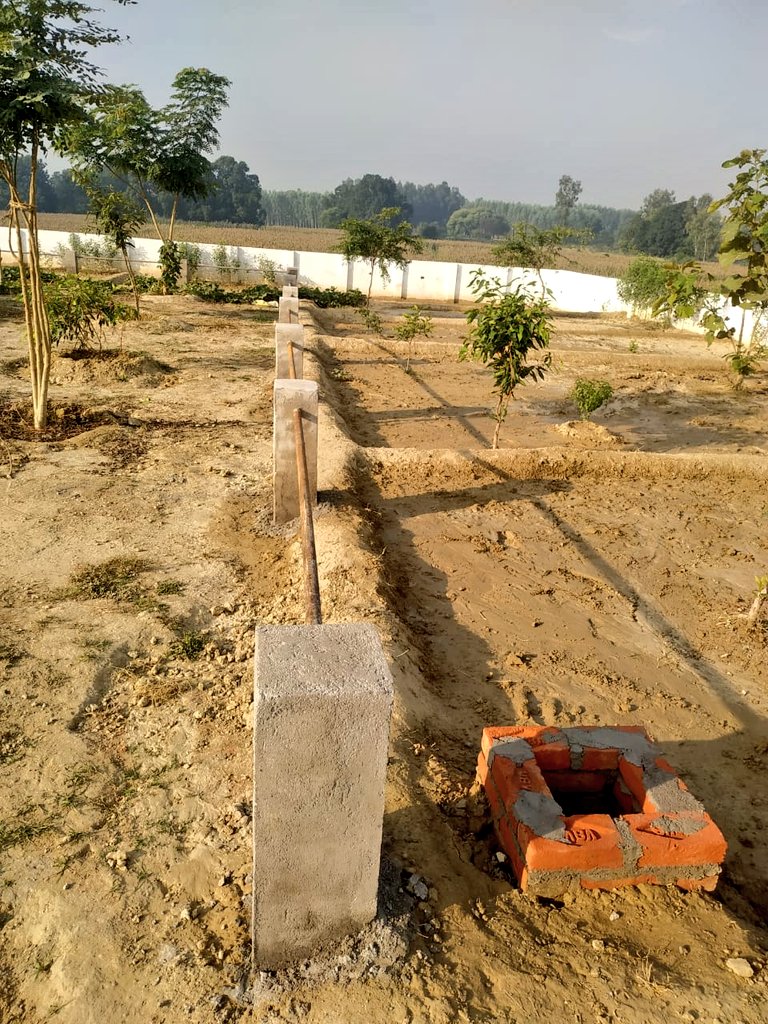 CdoKanpurDehat's tweet photo. ग्राम पंचायत जैतापुर विकासखंड संदलपुर के प्राथमिक विद्यालय दरिया का पुरवा मैं पोषण वाटिका कार्य पूर्णतया प्रगति की ओर।
@uppanchayatiraj @vishakg @CommissionerKnp @jsrana777 @parasharlalit05 @pravinmishra00 
#poshanabhiyaan https://t.co/eh5oBj3Ahr