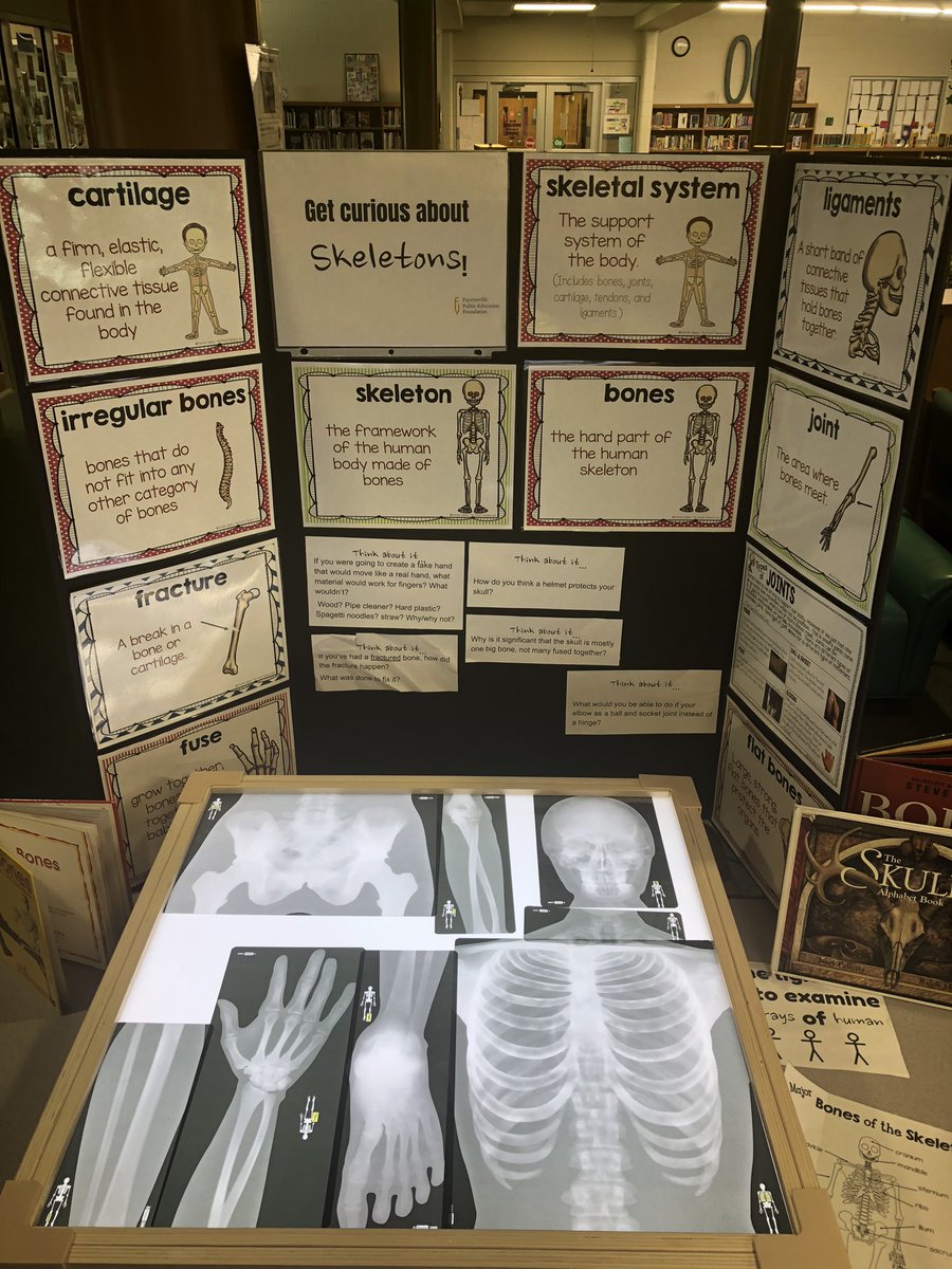 tfarc_nodnarb's tweet photo. How are we engaging students in our new reality?
1.  Lunch with the principal in the courtyard.  2.  Reading books to the class in the courtyard. 3. Special displays in the library about the human skeleton. 4. Surprising students at their football game on Sat morn. #greatschool https://t.co/glUQMj1Xho