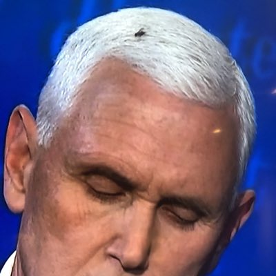 ChristianeTsuda's tweet photo. #NewProfilePic https://t.co/VieyePyYWP