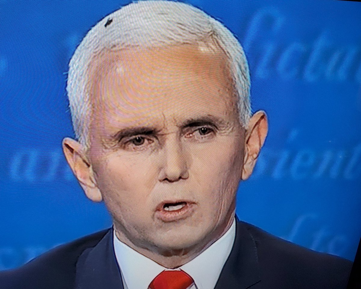 mannersplz's tweet photo. @cnn @abc Flies love fecal matter.
#VPDebate #VPDebate2020 https://t.co/zqsqBpy1rf