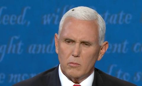 RudyFauxbert's tweet photo. Somebody needs to check in on that fly, he may have been exposed to COVID. #VicePresidentialDebate2020 #RIPFly #MikePenceFly #MikePenceSmellsLikeDoodoo https://t.co/Daj6NhgEqK