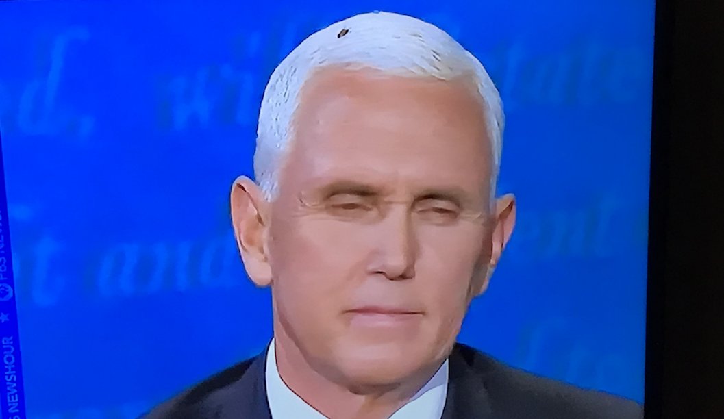 JosieBrownCA's tweet photo. On Fly Over the Cuckoo's Nest. #pencesfly #fly #flygate #FLY2020 #flyonmikepence #flyonhishead #flyonhead #flyonpenceshead #TheFly #TheFlyOnPence #TheFlyWonTheDebate #theflywon #theflyonmikepenceshead #TheFly2020 #TheFlyWonTheDebate #OneFlyOverTheCuckoosNest https://t.co/o5HUz78xot