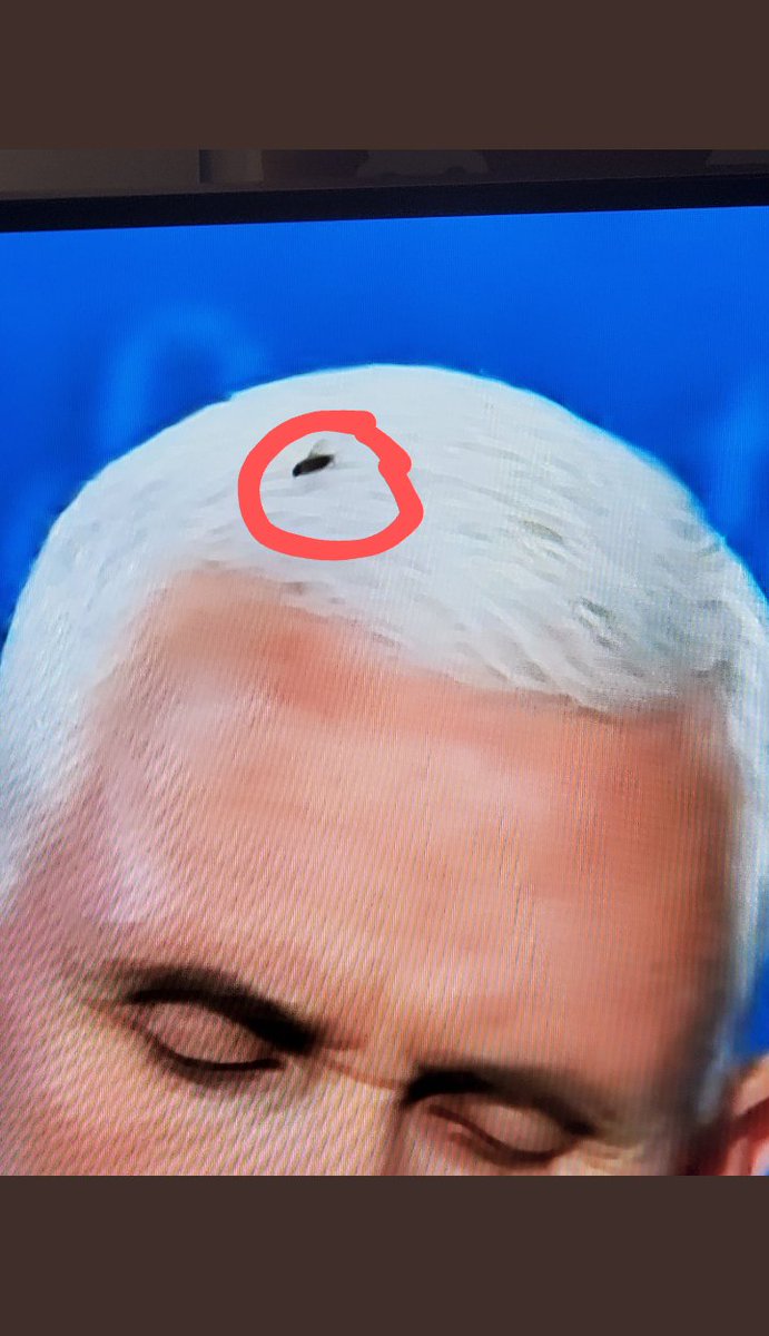 901Conscious's tweet photo. @ERB804 @jemelehill Pence couldn't feel the fly due to the #Got2bGlued freeze spray in his hair. π
#KamalaHarris #BidenHarris2020 https://t.co/68y0NnNrXe