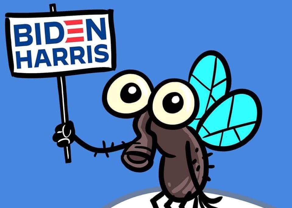 Rumplepimple1's tweet photo. #debate #Debates2020 #flygate #FLY2020 #DebatesIWantToSee https://t.co/axGdnCF7MY