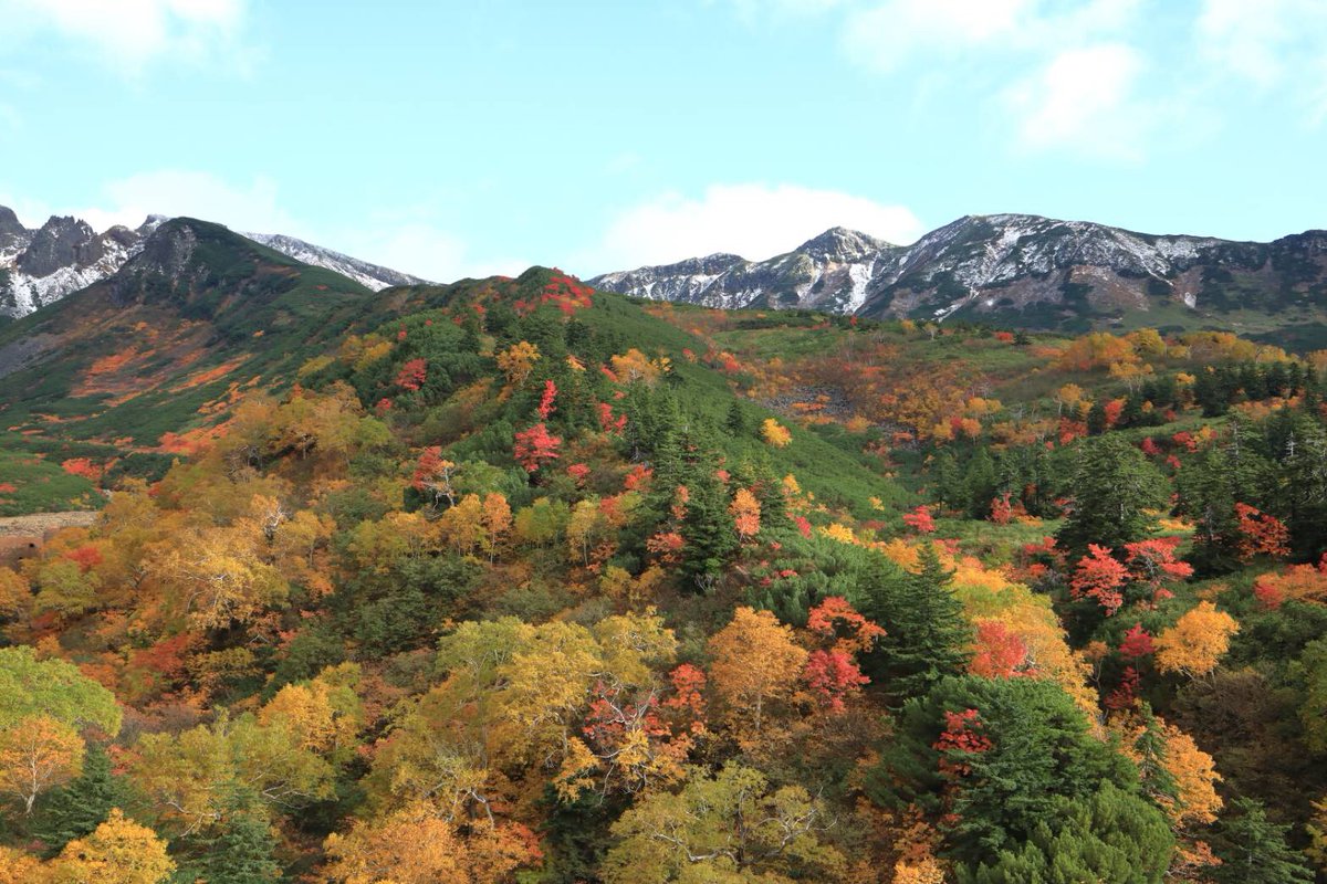 p_yamanoue's tweet photo. ととのいました層雲峡。

#ペンション山の上
#ととのいました層雲峡 https://t.co/llQm43v4HY