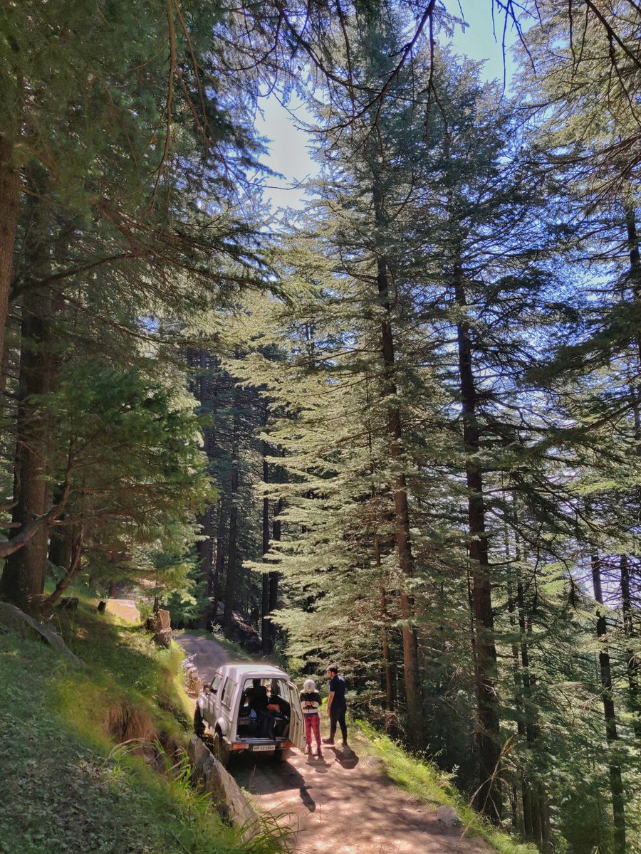 Road to Bijli Mahadev

#Manali #Himachal #HimachalPradesh #BijliMahadev #travel #workfrommountains