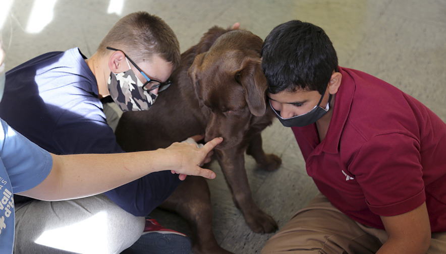 Un estudio de Vall d'Hebron, en colaboración con <a href="/GRUPO_CTAC/">CTAC</a> y <a href="/FProbitas/">Fundación Probitas</a>, ha demostrado que la terapia asistida con perros es eficaz en el tratamiento del síndrome alcohólico fetal. 

Lee la noticia: bit.ly/30Hq3SY