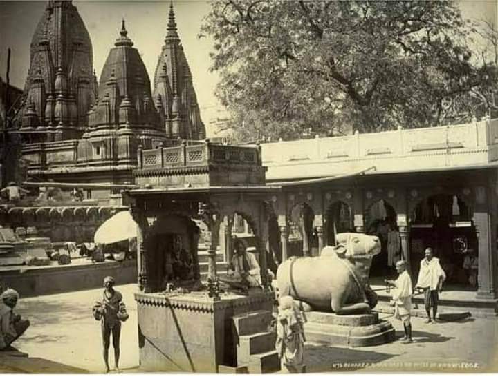 #काशी_विश्वनाथ_मंदिर◆◆◆
#नंदी_जी का मुख हमेशा #शिवलिंग की ओर रहता है परंतु #काशी_विश्वनाथ के नंदी जी का मुख #ज्ञान_व्यापी मस्जिद की ओर है जो कि असली विश्वनाथ #मंदिर है!
नियम के अनुसार #नंदी_का_मुख ठीक #शिवलिंग के सामने होना चाहिए किंतु काशी #विश्वनाथ में ठीक इसका #विपरीत है👇 https://t.co/SWkXXZrgSn