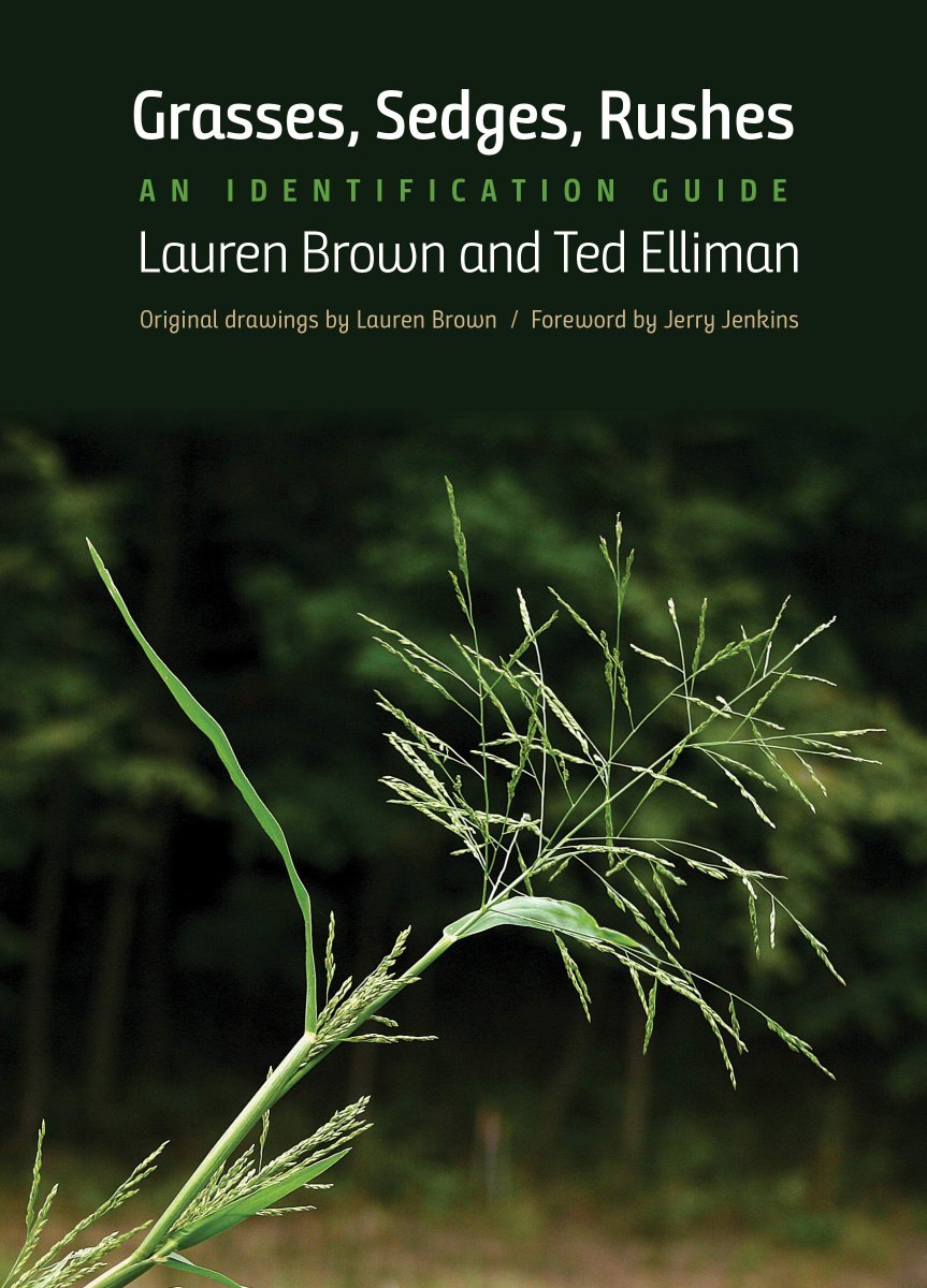nhbsBooks's tweet image. Just published – #Grasses, #Sedges, #Rushes: An Identification Guide nhbs.com/grasses-sedges… @yalepress @YaleBooks |@CBHLTweets @RGB_Kew @BSBIbotany #botany