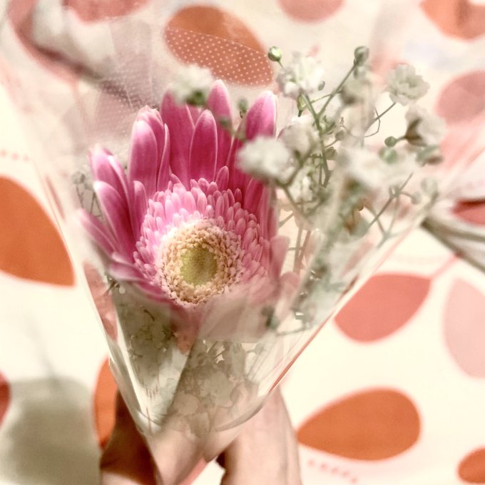 ガーベラ 高画質 のtwitterイラスト検索結果