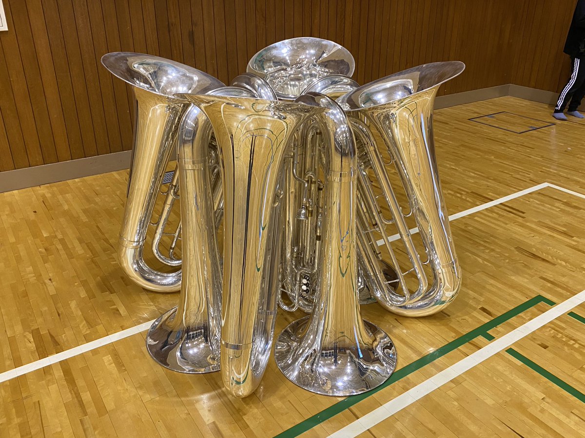 masaTubaEuph's tweet photo. Tuba
#systemblue https://t.co/h636nGxZVM