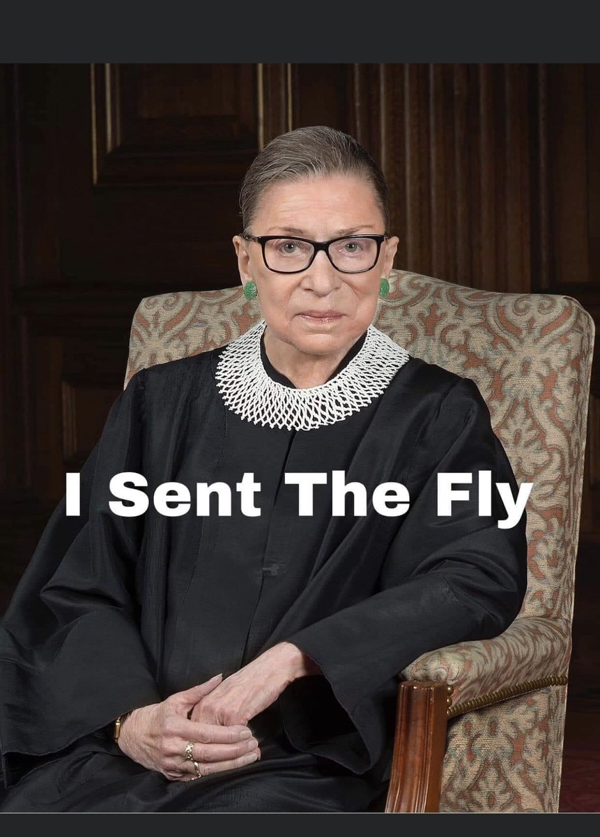 Pinotcat's tweet image. 