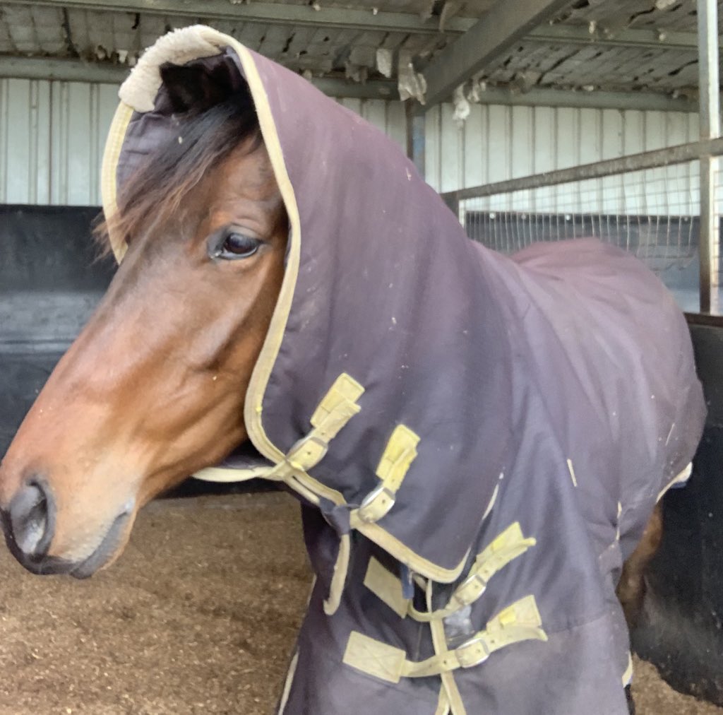 racharmes's tweet image. Offical dress code for arvo shift... 🥶⛄️ #backtowinter