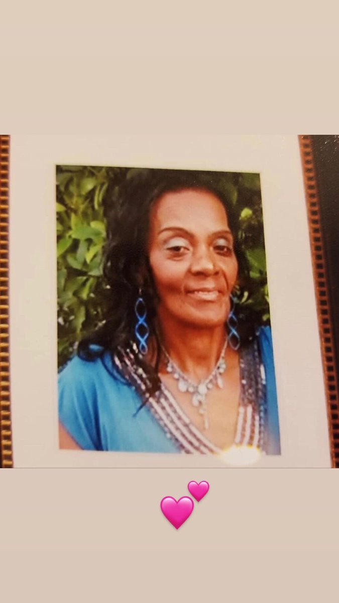 Giordano Chris 🦈 tweet media