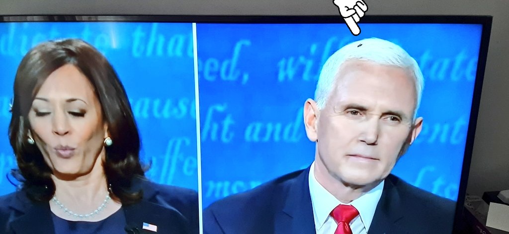 Not the fly getting some TV time #VPDebate2020