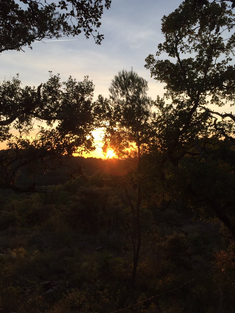 laurent_callens's tweet photo. #Evening run sans filtre. Quand tu pars trop tard et que la nuit te rattrape. #run #vaucluse #stdidier https://t.co/kcEN1LCEyI