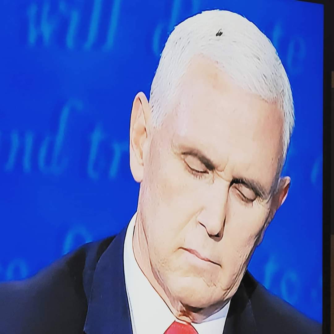 LEDargin's tweet image. Veepzebub