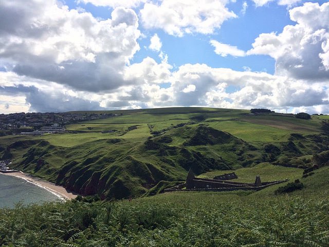 Ailish Sinclair tweet media