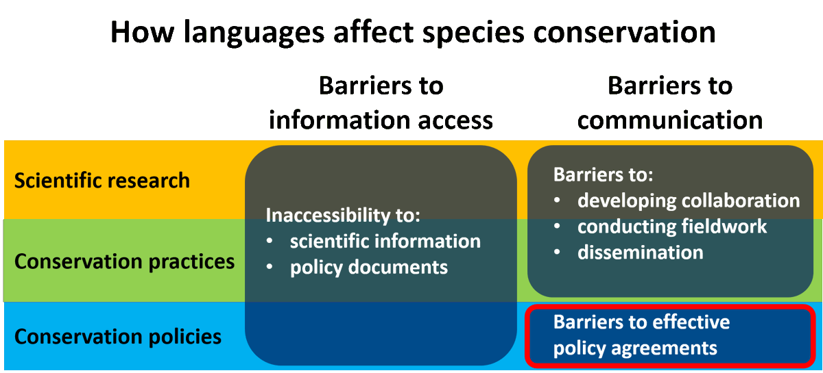 12  #ISTC20  #Sesh7 Language barriers can also impede effective policy agreements among countries, which is obviously key to successful shorebird conservation. Admittedly I’m no policy expert, so this part is largely thanks to productive discussions with  @numenini.