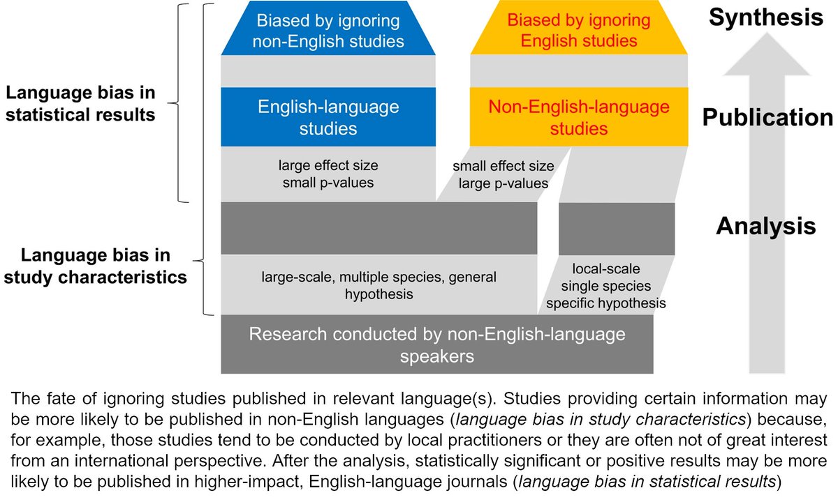 6  #ISTC20  #Sesh7 Can we ignore scientific information published in non-English languages? We tested this in this paper and found that ignoring non-English-language studies could bias conclusions in ecological meta-analyses.  https://doi.org/10.1002/ece3.6368