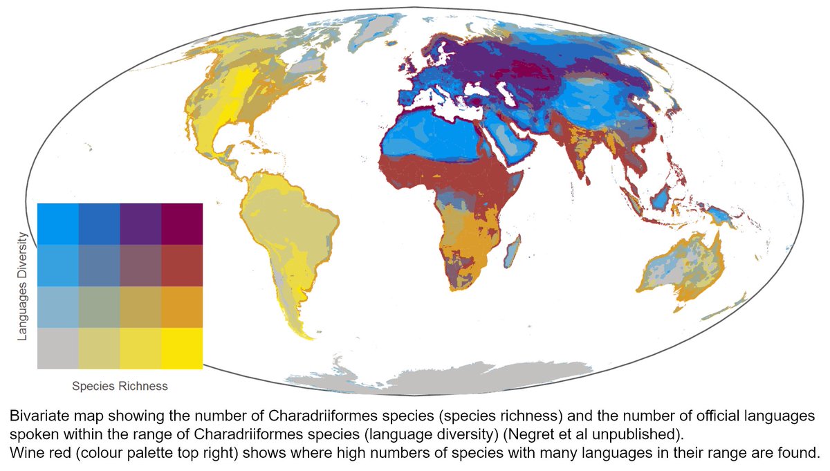 19  #ISTC20  #Sesh7 We found especially high numbers of Charadriiformes species with many languages in their range in areas shown in wine red here. Overcoming language barriers may play an especially important role in conserving shorebirds there (e.g., Kazakh Steppe).