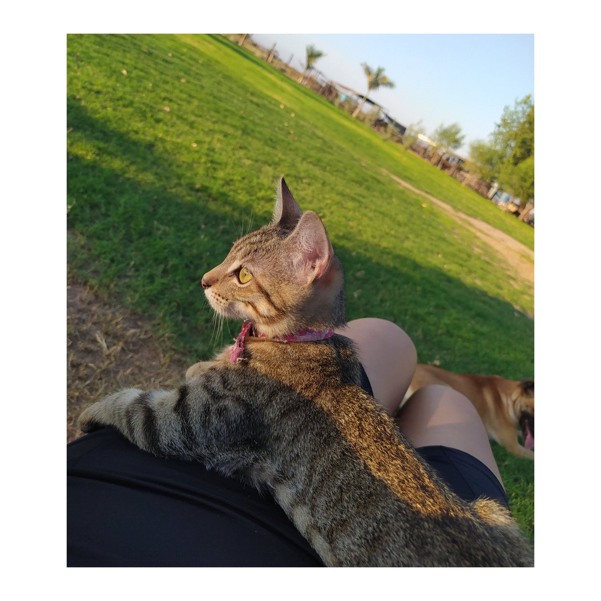 letyals's tweet image. Esperancita, quiero que brilles toda la eternidad ✨