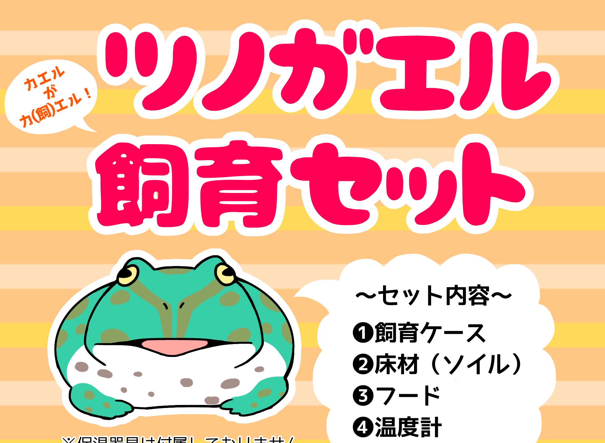 有 フィッシュランドイシハラ爬虫類部門 Twitterren 当店オリジナルツノガエル飼育セットのパッケージ でっぷりボディを描くの楽しかった ツノガエル フィッシュランドイシハラ T Co Vpaoivuapo Twitter