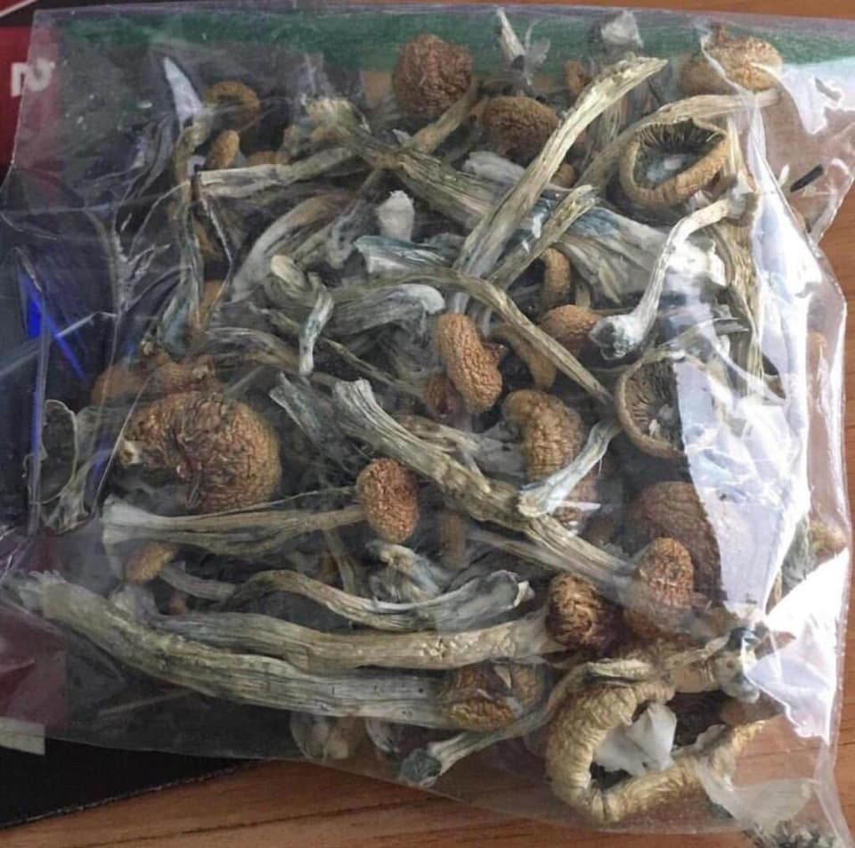 TylerMarthin's tweet image. text or call 916  741  2928
or add my snapchat *anthony_luci20