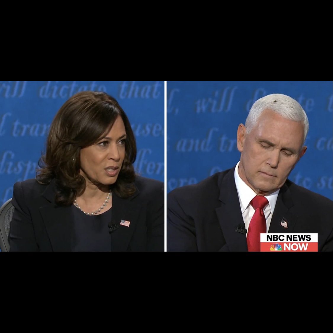 Nithin's tweet image. 6:40 AM: MAF 10 miles with the debate on the headphones. I think Kamala held back a lot and Pence got way more time for his non-answers. And, the winner was the fly 😂 Think I timed it pretty well.

#Runners360 #HRbasedrun #MAFmethod #180method #138BPM #nike #zoomtemponext%