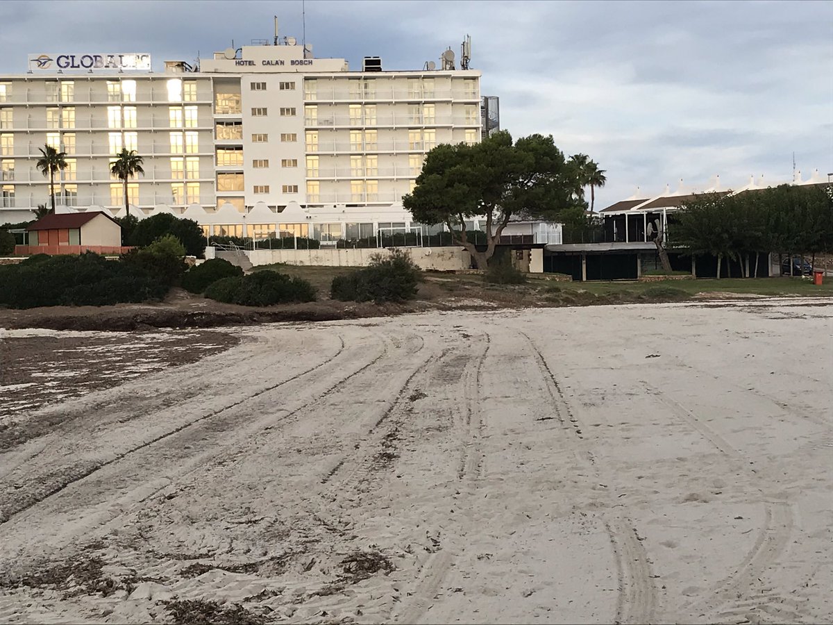 Xisco Xavier Roig tweet media