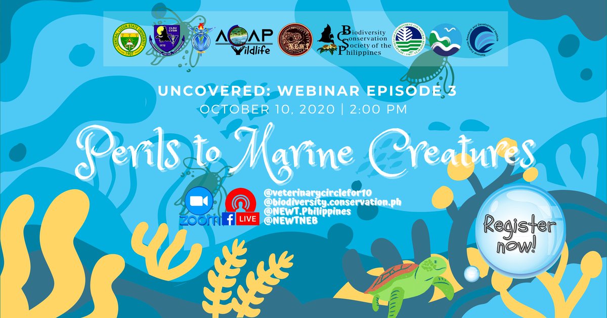 CLSU_VC10's tweet photo. Join us this coming Saturday as we update ourselves on the state of our seas and its inhabitants.

To REGISTER, please click this link:

https://t.co/QvBneJq3HN

See you there!

#UNCOVEREDWebinarSeries
#PerilsToMarineCreatures
#VC10OneWithWildlife
#VC10xNEWTxBCSPxBMBxNFRDI https://t.co/ExgfCJgfXe