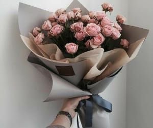 haii kaliaannn-!! hepi mensip yaa!! aku tau ini telat bangett😭 maaf ya telat ucapinnya.. semoga langgeng terus, kalo ada masalah di selesaiin baik baik, wish yang baik baik buat kaliannn!! hepi mensip ayangiek🙆🏼‍♀️✨