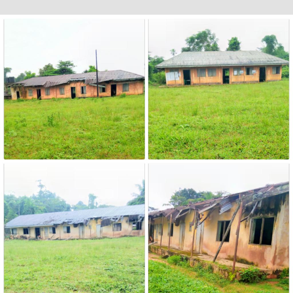 Osa Paul tweet media