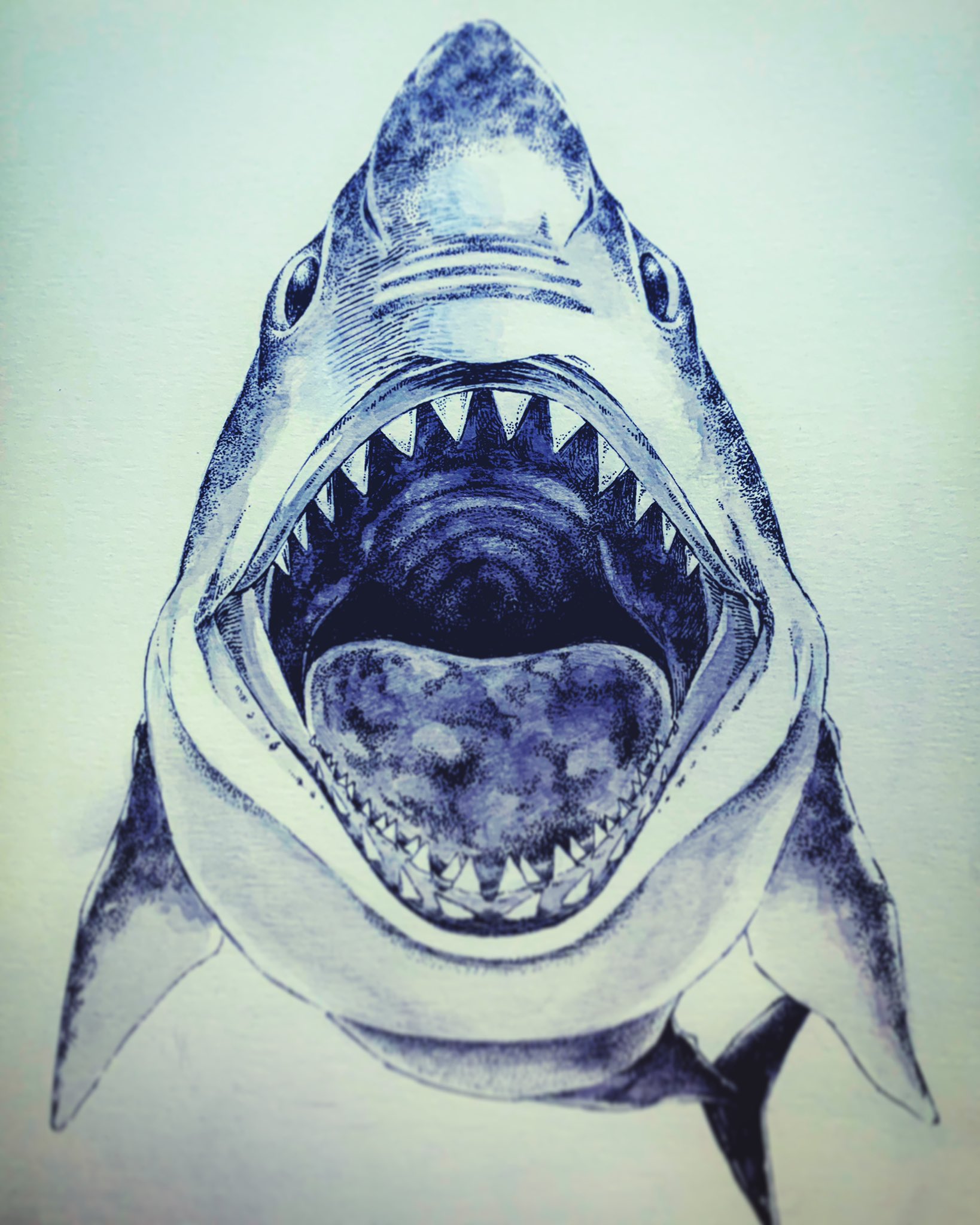 梅月 Inktober Day8 Teeth 歯 Inktober Inktober イラスト Illust Art アナログイラスト 梅月備忘録 Teeth サメ ジョーズ Jaws T Co Hbdy38h3i0 Twitter