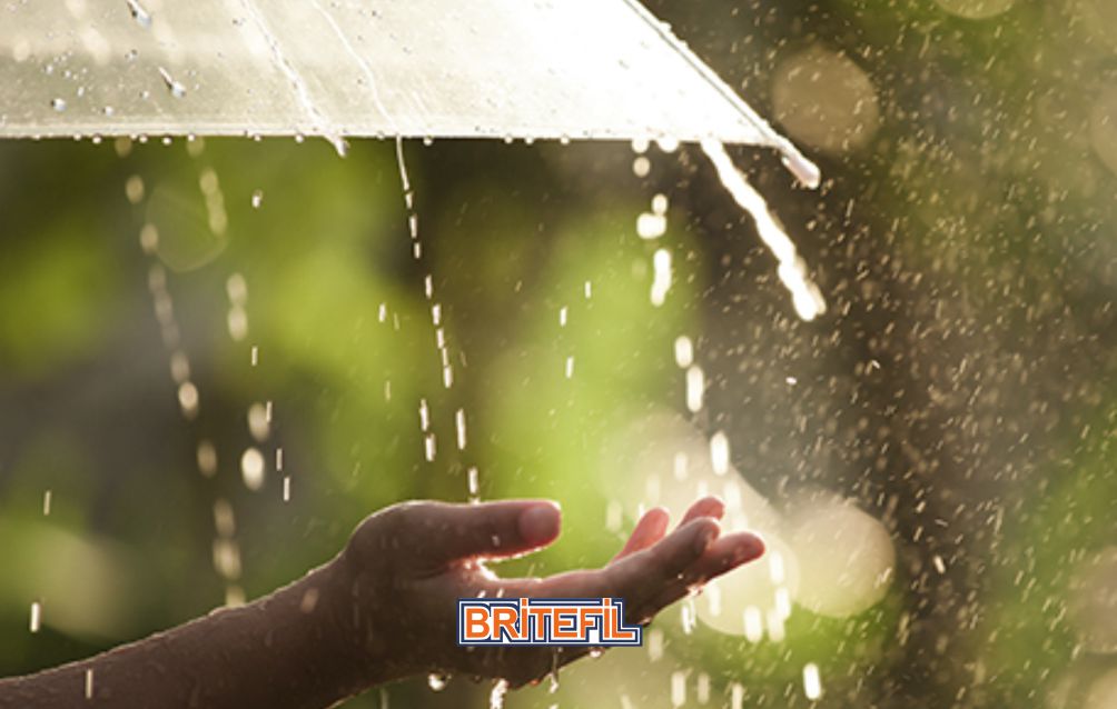 #creativesustainability
A wonderful tip to save water in the garden or vegetable garden is to capture rainwater. You can do this process through a bucket for example, under a gutter or any other drainage system to capture rainwater