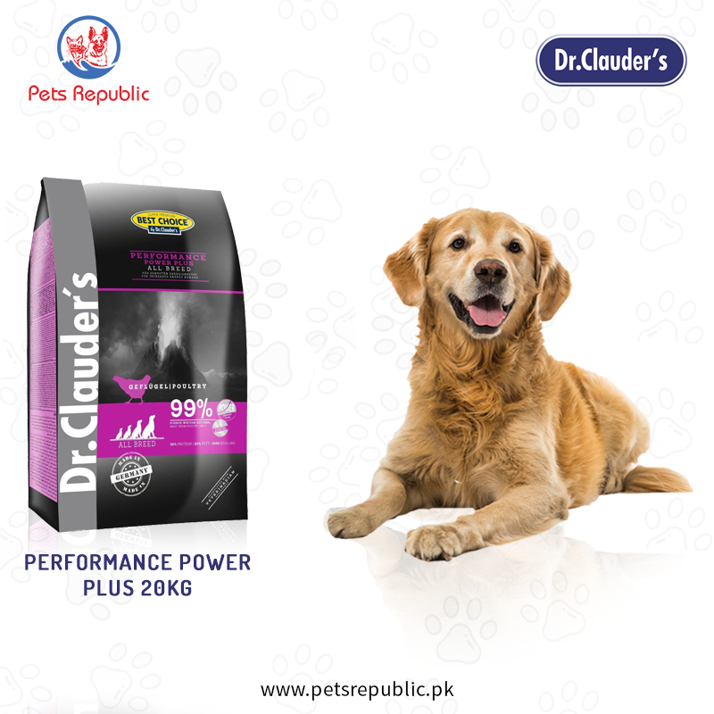 power plus happy dog