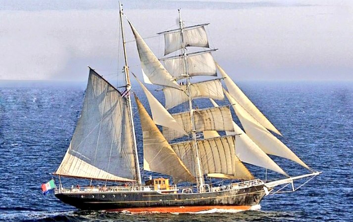 FlMichele69's tweet image. The sailing training ships of the #ItalianNavy🇮🇹
Sailing Ship Amerigo Vespucci
Built 1931🇮🇹
Service 1931÷present
Schooner Palinuro
Built 1934🇫🇷
Service 1955÷present
Brig Italia
Built 1993🇮🇹
Service 2007÷present
@ItalianNavy @SM_Difesa