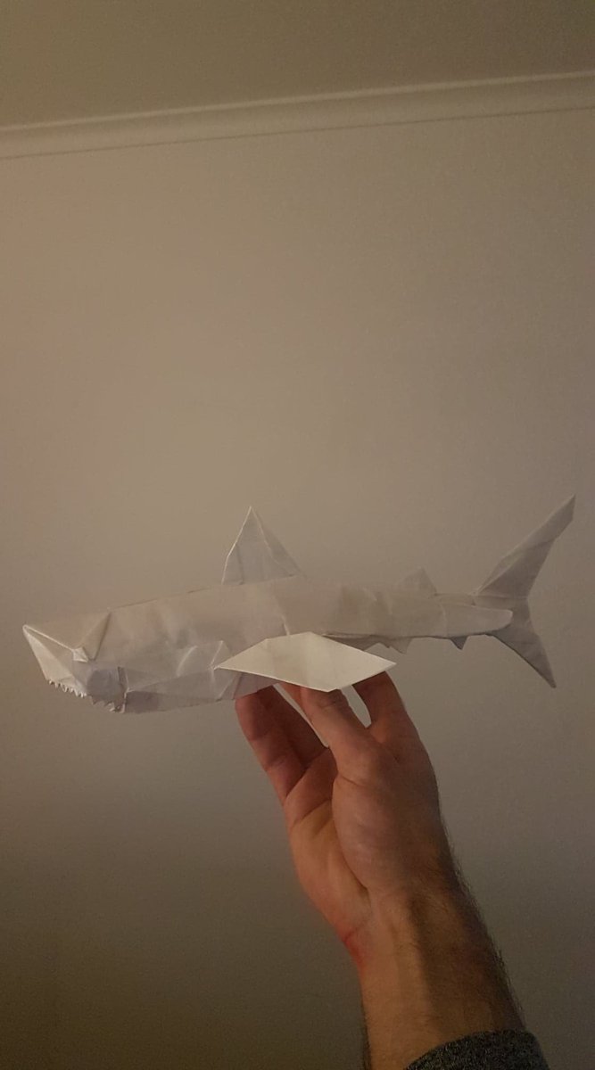 SamKeenan37's tweet photo. @justthevax @petecurr The 40mins didn't allow for making Pete's fishy gift! https://t.co/bIbpHSA1oP