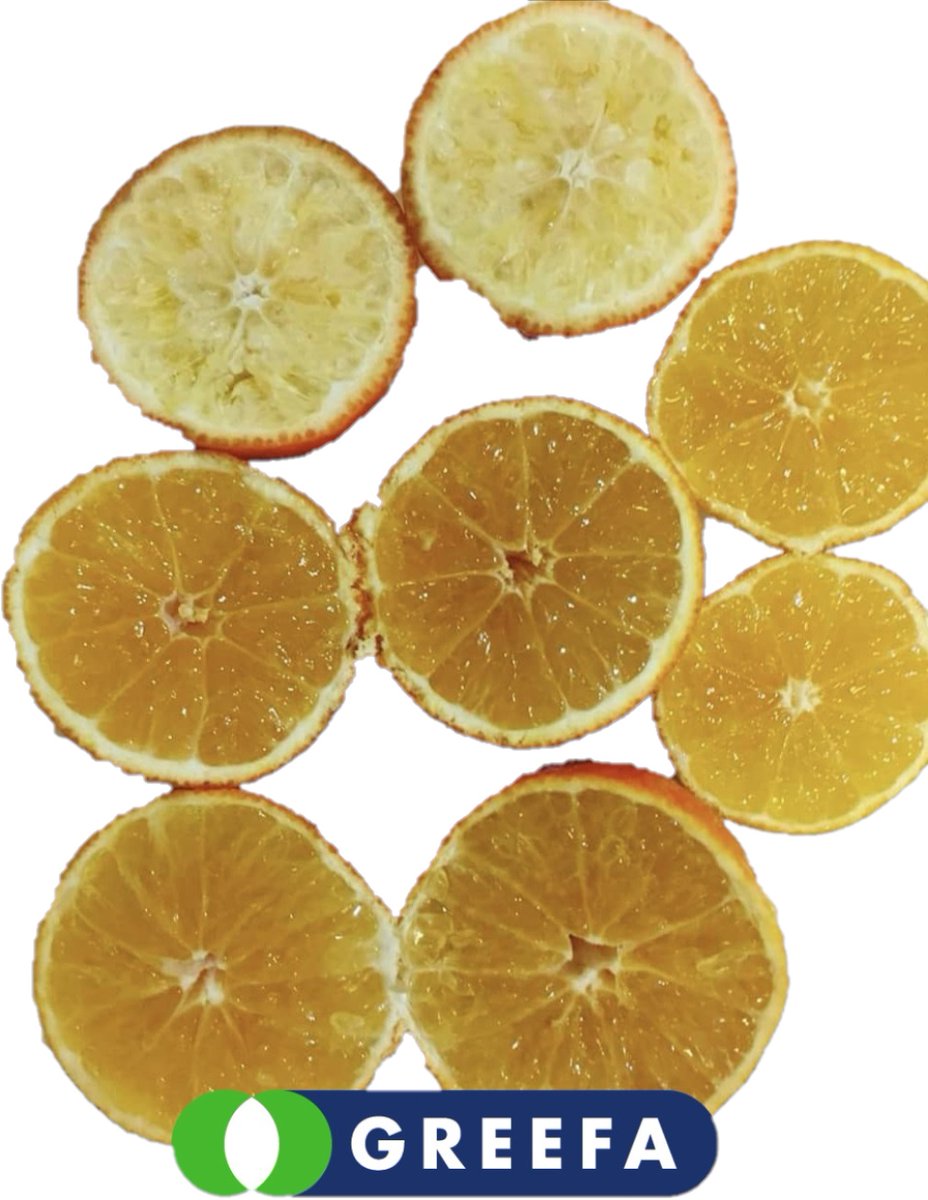 Ciagri_Greefa's tweet image. ¿ Cítricos deshidratados ?
En Greefa, disponemos de la última tecnología en pesaje y sistema óptico que nos permite diferenciar con altísima precisión los frutos deshidratados o congelados entre otros.
#SmartSort #calidadgreefa #cítricos #frutadehueso #hortofrutícola