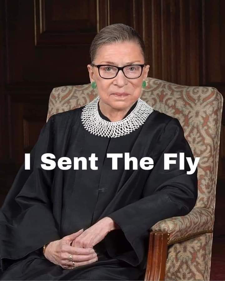 HTuaone's tweet image. 